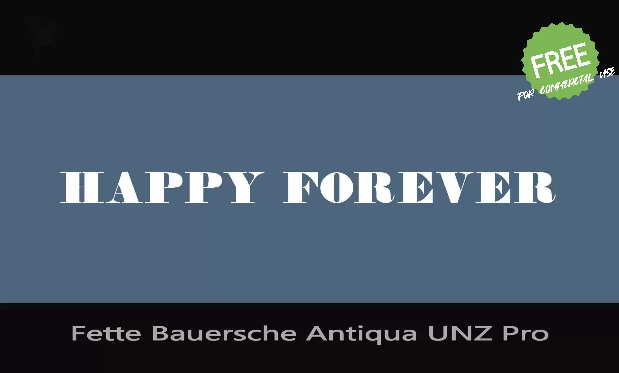 「Fette-Bauersche-Antiqua-UNZ-Pro」字体效果图