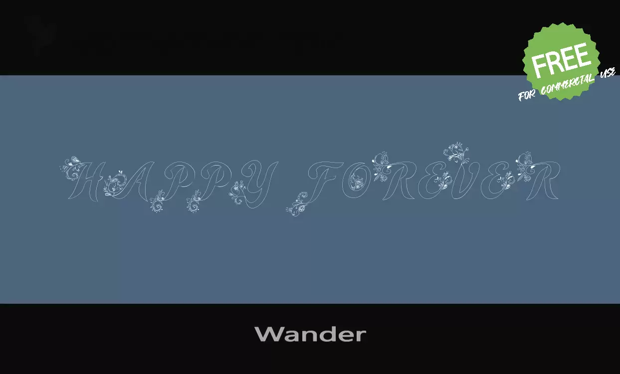 「Wander」字体效果图