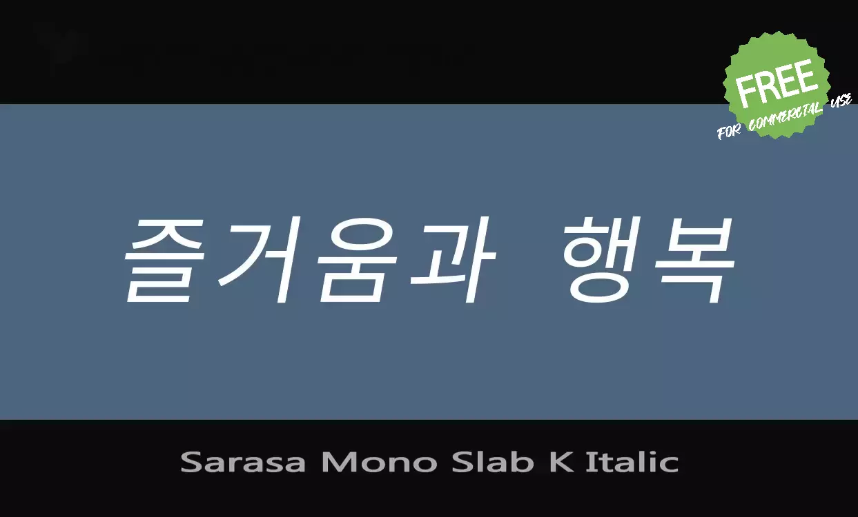 Font Sample of Sarasa-Mono-Slab-K-Italic