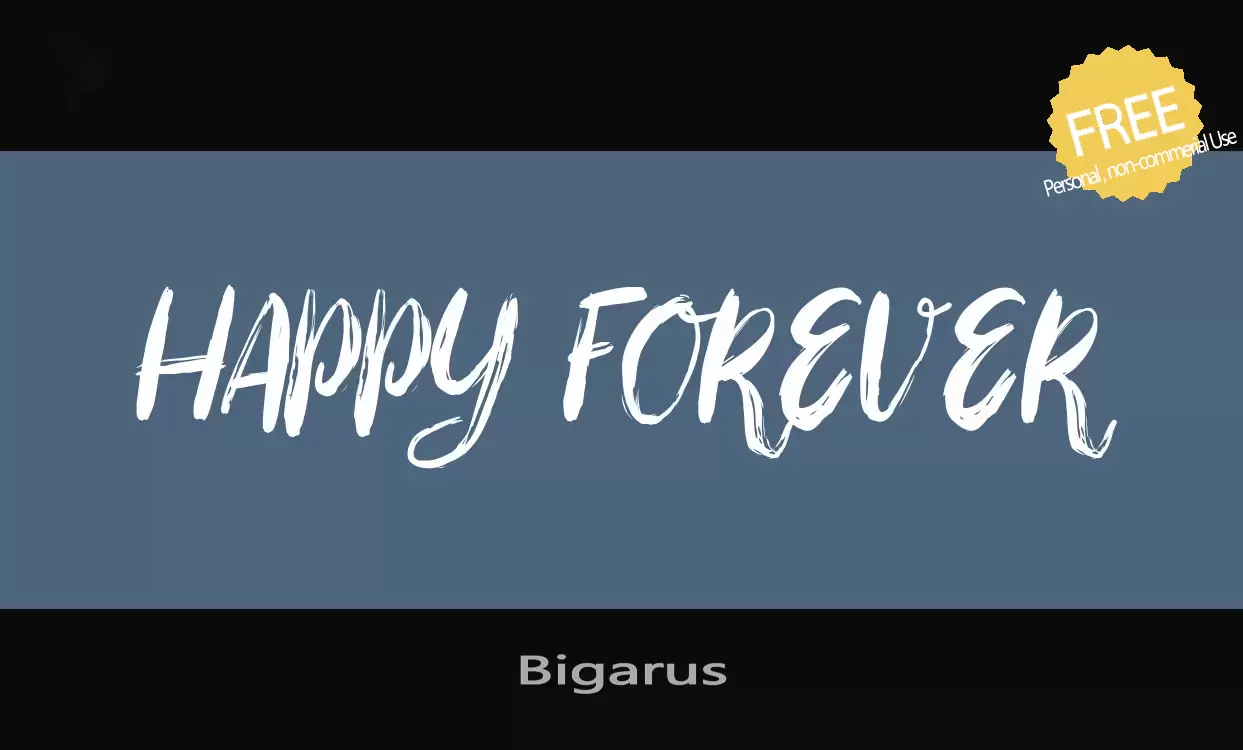 Font Sample of Bigarus