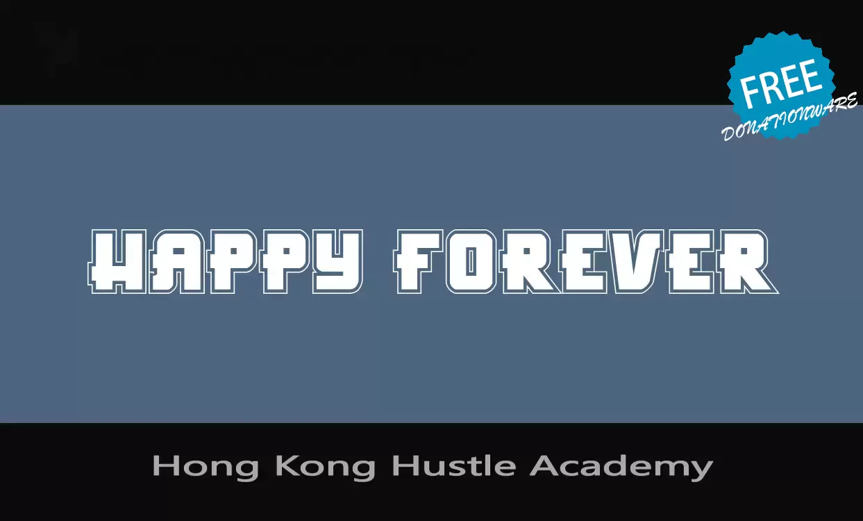 「Hong-Kong-Hustle-Academy」字体效果图