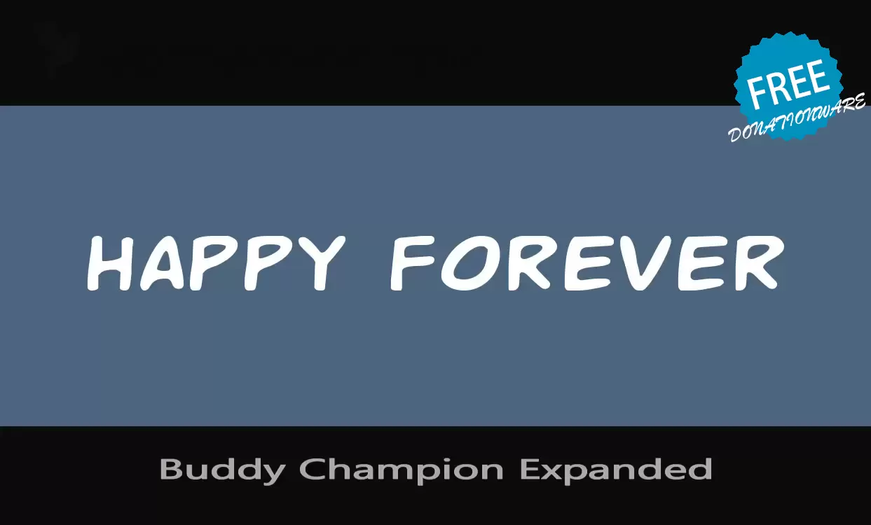 「Buddy-Champion-Expanded」字体效果图