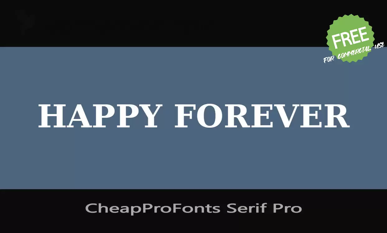 「CheapProFonts-Serif-Pro」字体效果图