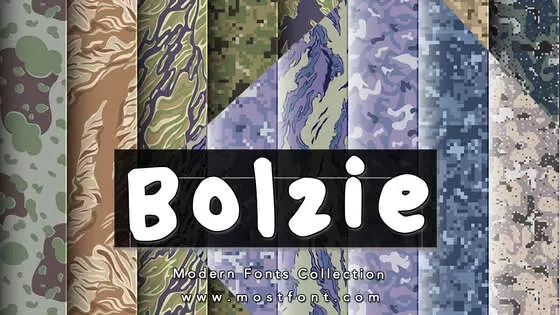 Typographic Design of Bolzie