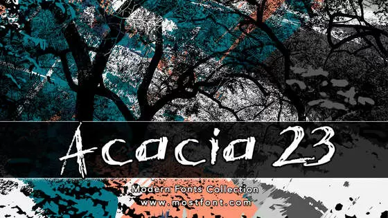 「Acacia-23」字体排版图片