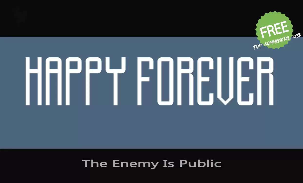 「The-Enemy-Is-Public」字体效果图
