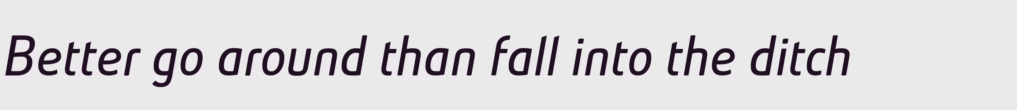 Preview Of AbsolutBookItalicReduced
