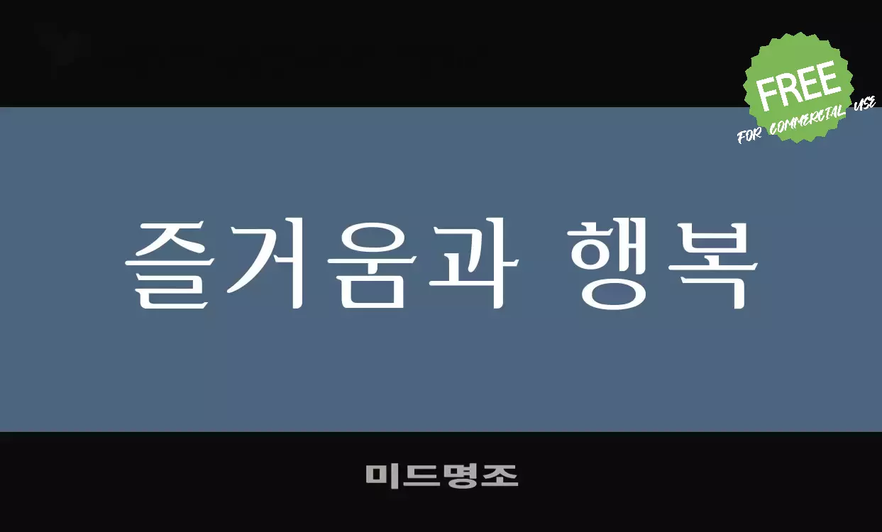 「미드명조」字体效果图