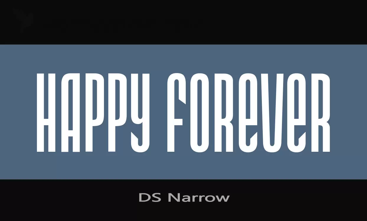 「DS-Narrow」字体效果图