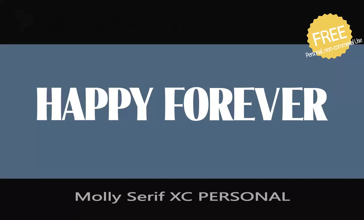 Sample of Molly-Serif-XC-PERSONAL