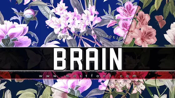 「Brain」字体排版图片