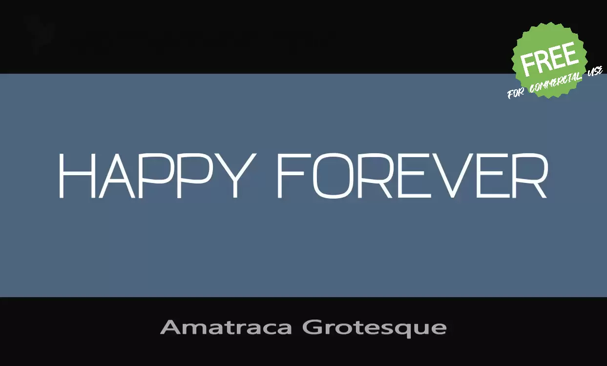 Sample of Amatraca-Grotesque