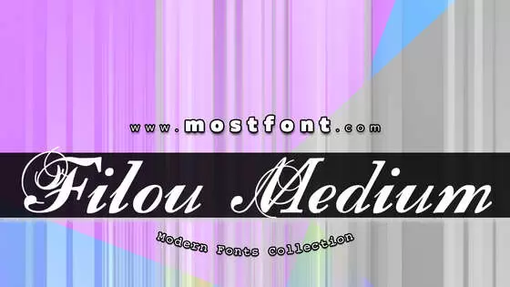 「Filou-Medium」字体排版图片