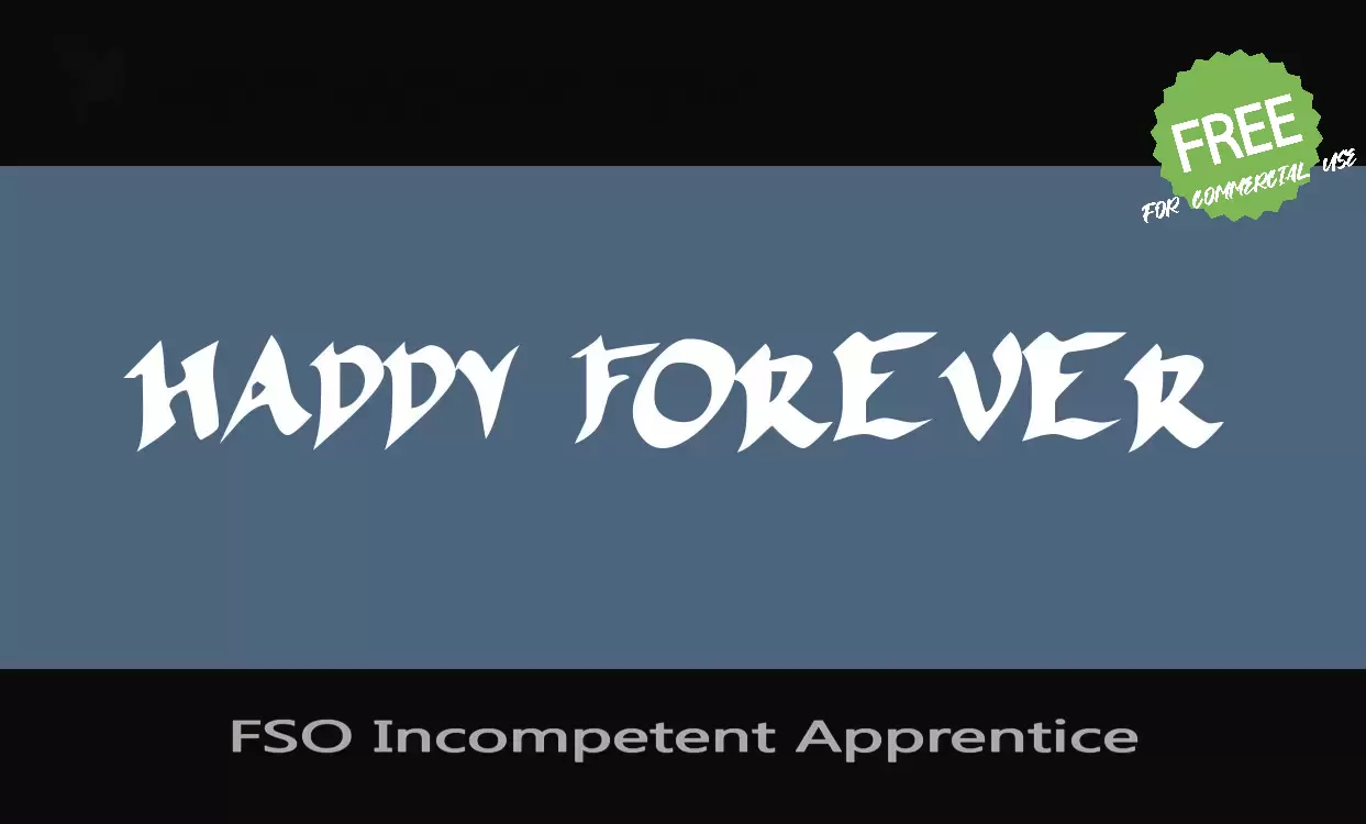 Sample of FSO-Incompetent-Apprentice