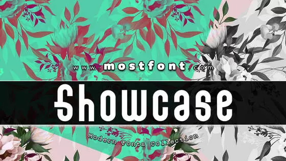 「Showcase」字体排版图片