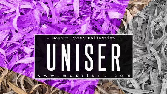 「Uniser」字体排版图片