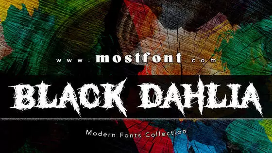 Typographic Design of Black-Dahlia