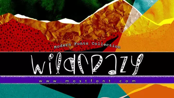 「WildCrazy」字体排版图片