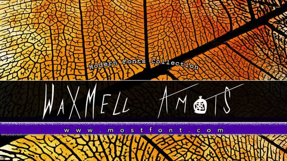 Typographic Design of WaXMELl-AmOtS