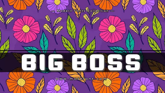 「Big-Boss」字体排版样式