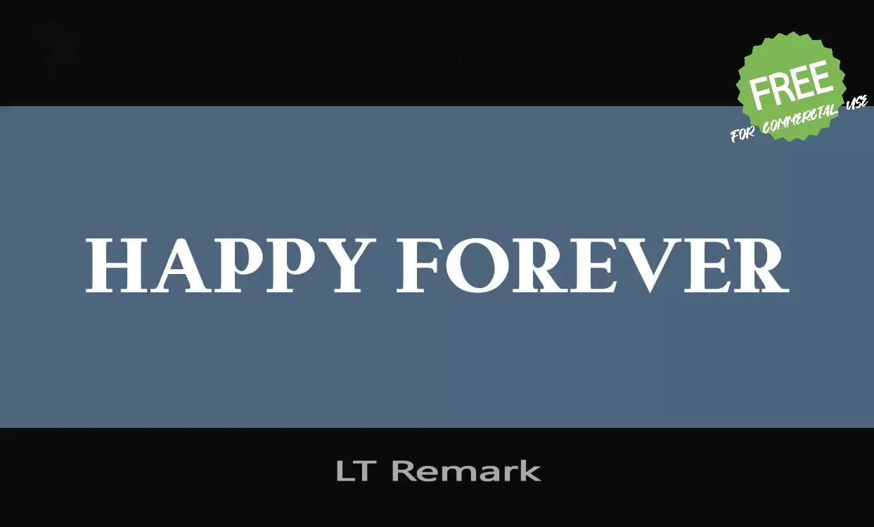 「LT-Remark」字体效果图