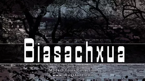 Typographic Design of Biasachxua