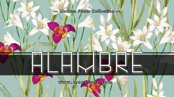 Typographic Design of Alambre