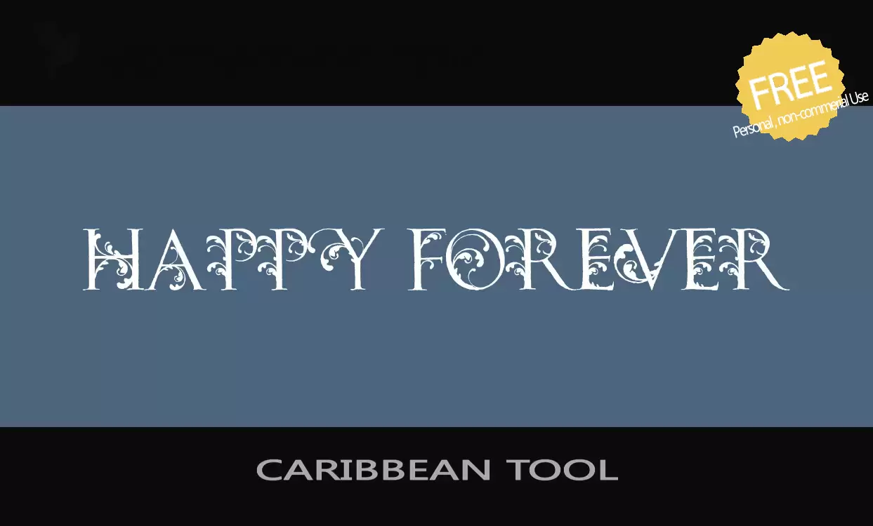 「CARIBBEAN-TOOL」字体效果图