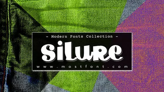 Typographic Design of Silure