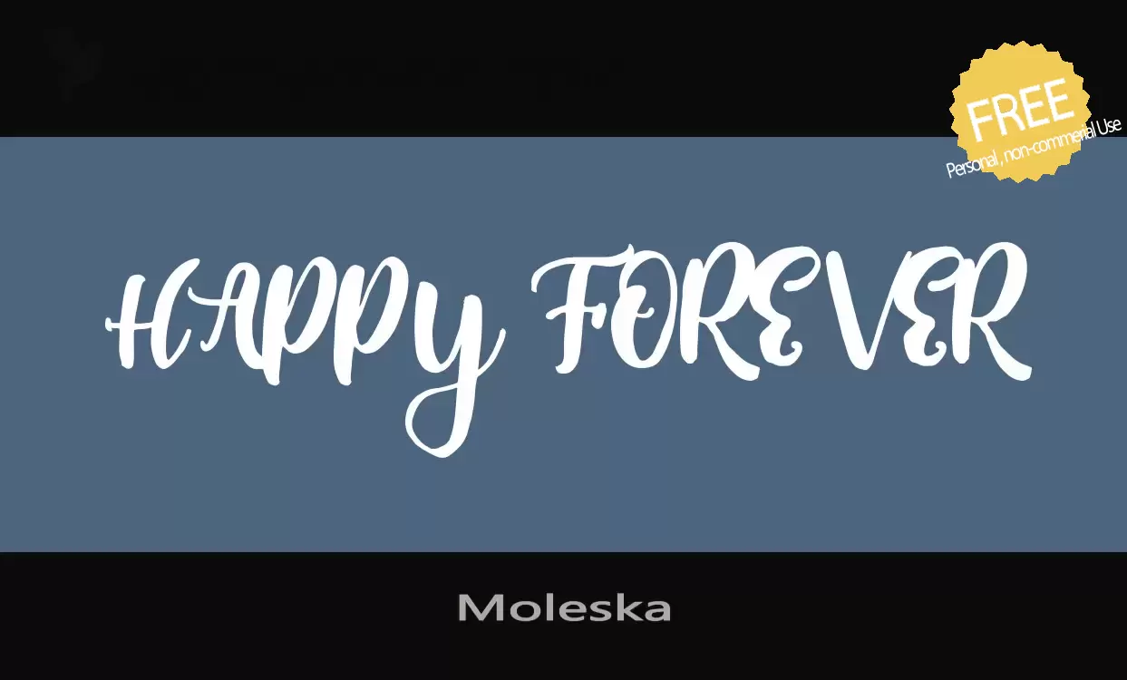 「Moleska」字体效果图