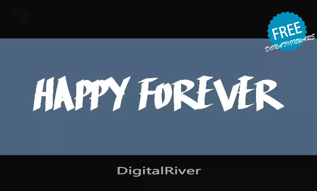 Sample of DigitalRiver