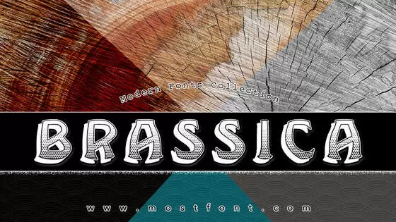 「Brassica」字体排版图片