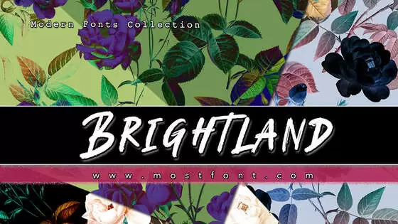 Typographic Design of Brightland