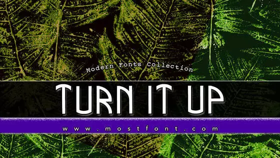 Typographic Design of Turn-It-Up