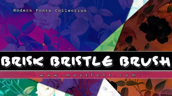 Typographic Design of Brisk-Bristle-Brush