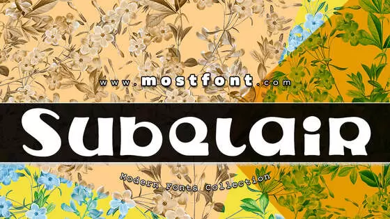 Typographic Design of Subelair