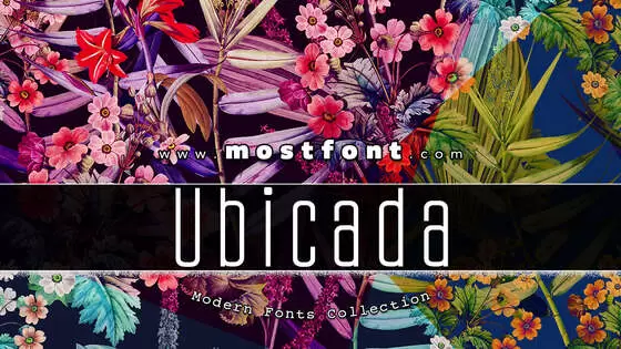 Typographic Design of Ubicada