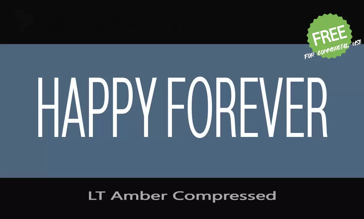 「LT-Amber-Compressed」字体效果图