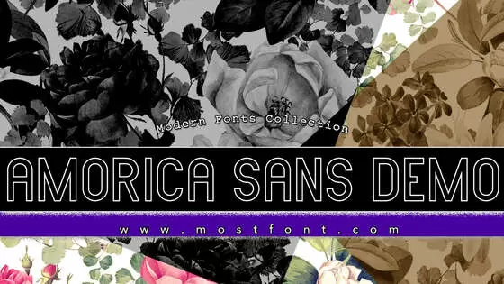 Typographic Design of AMORICA-SANS-DEMO