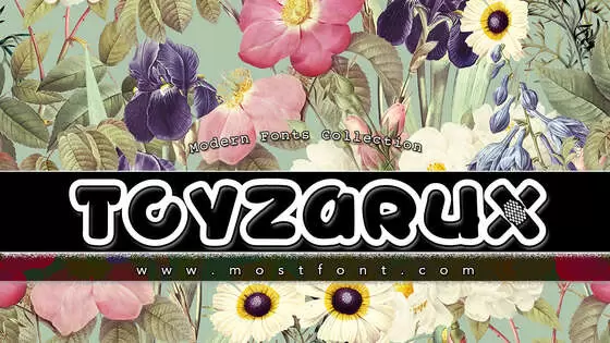 Typographic Design of TOYZARUX