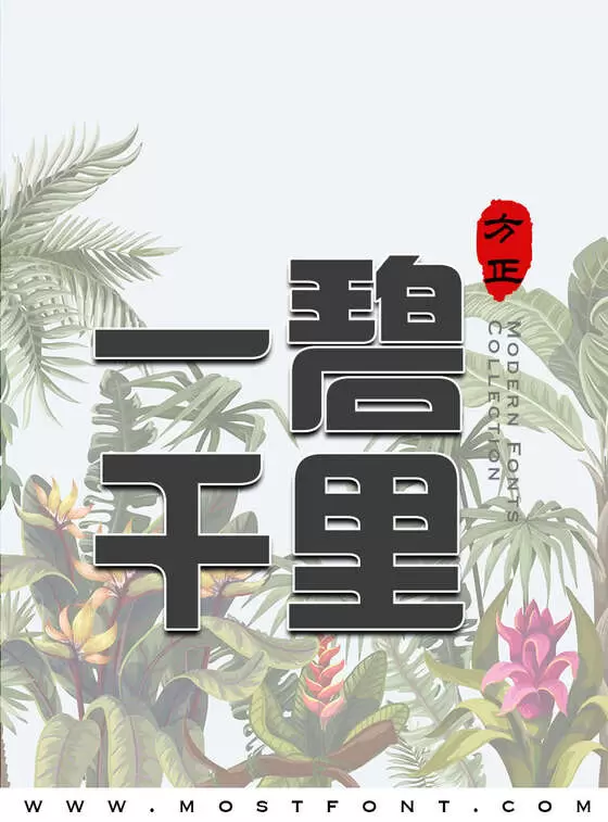 Typographic Design of 方正汉真广标简体