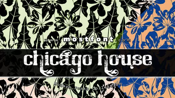 Typographic Design of Chicago-House-Trial