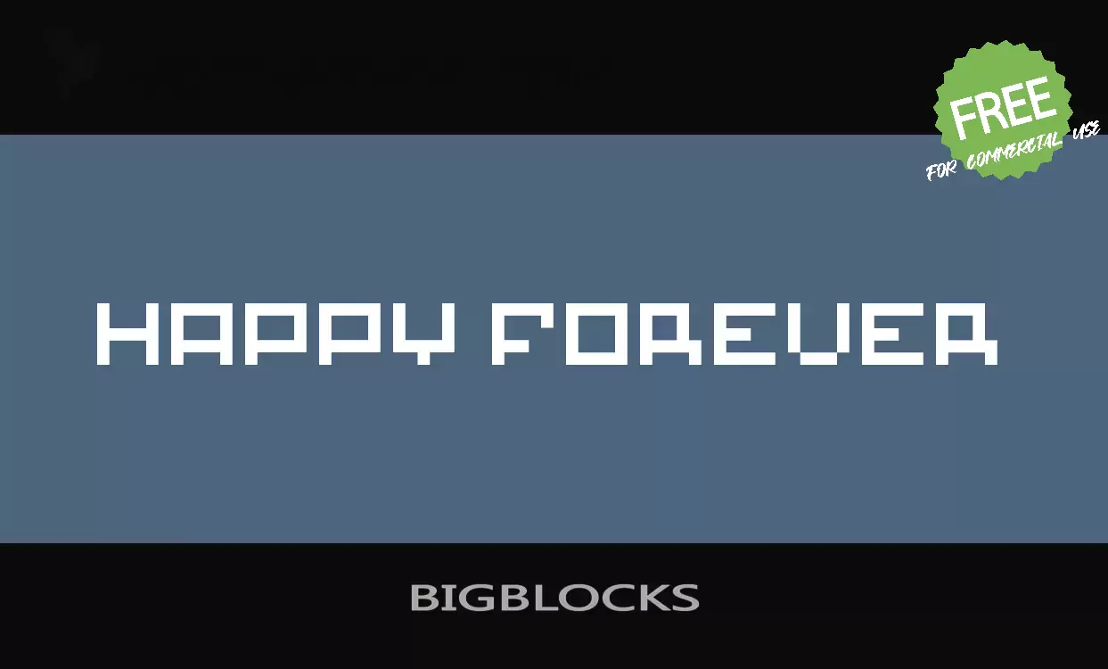 Sample of BIGBLOCKS