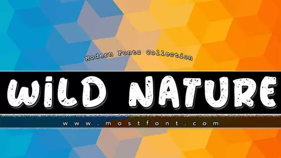 Typographic Design of Wild-Nature