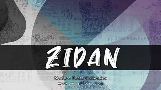 Typographic Design of Zidan