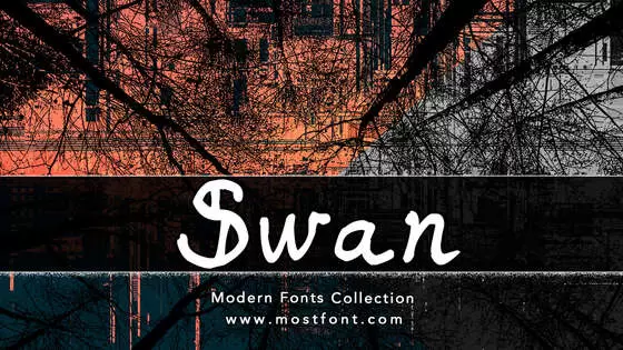 Typographic Design of Swan