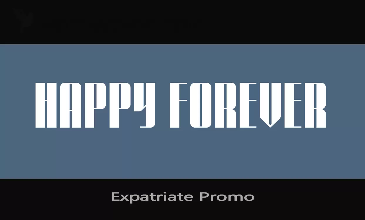 Sample of Expatriate-Promo