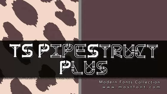 「TS-PipeStruct-Plus」字体排版图片