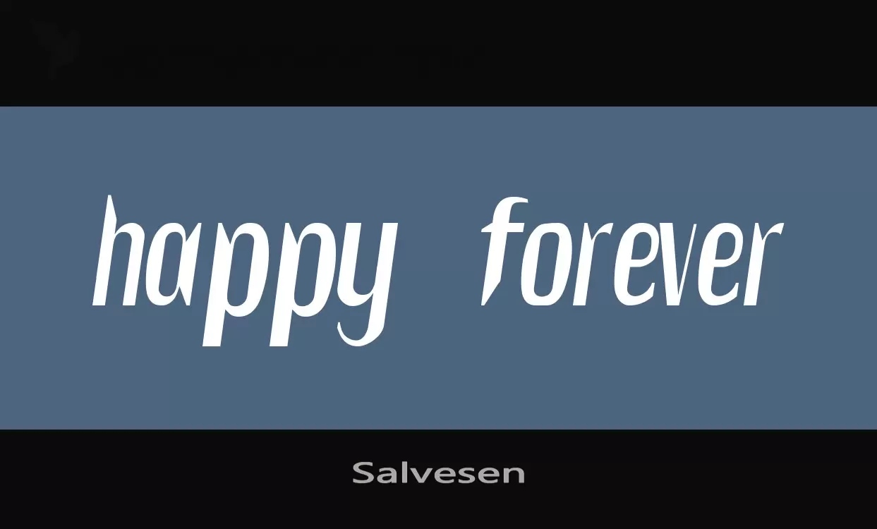 「Salvesen」字体效果图