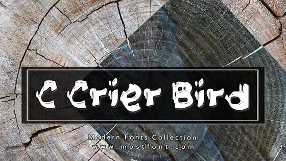 Typographic Design of C-Crier-Bird